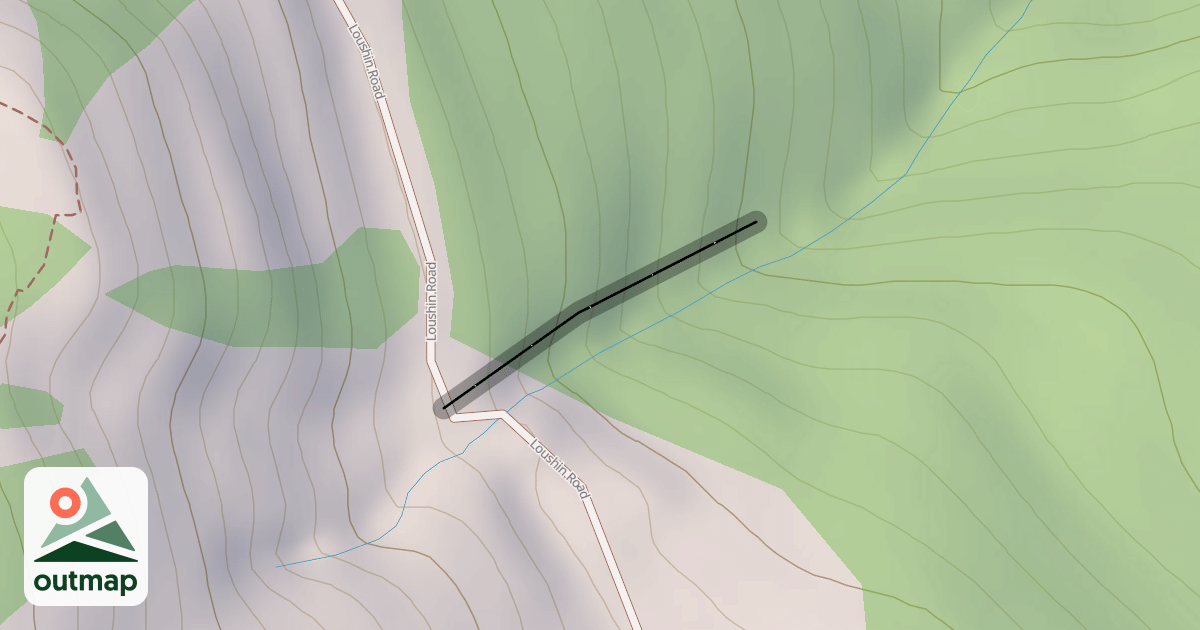 Map of Lower Walsh's