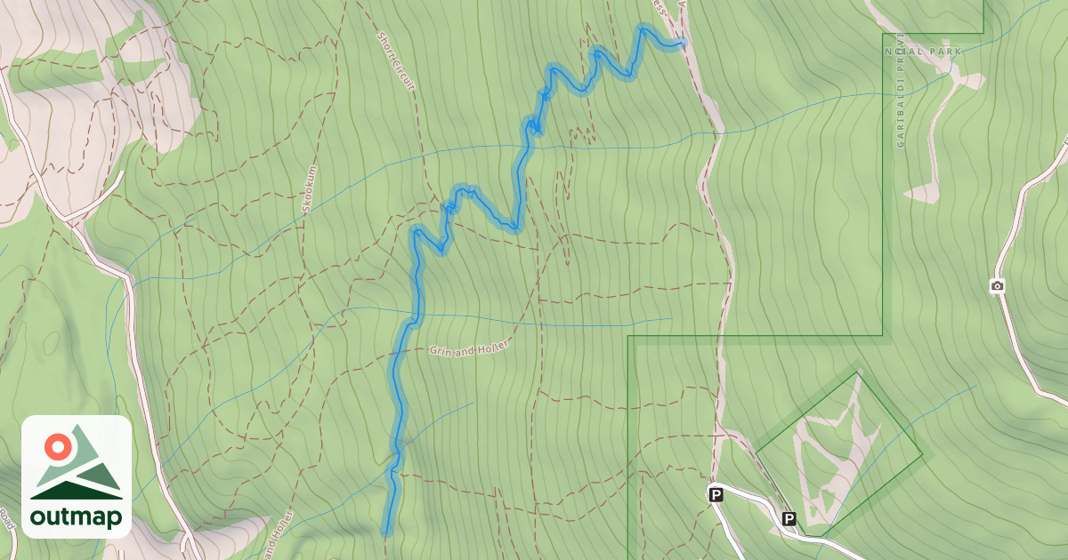 Map of Meadow of the Grizzly