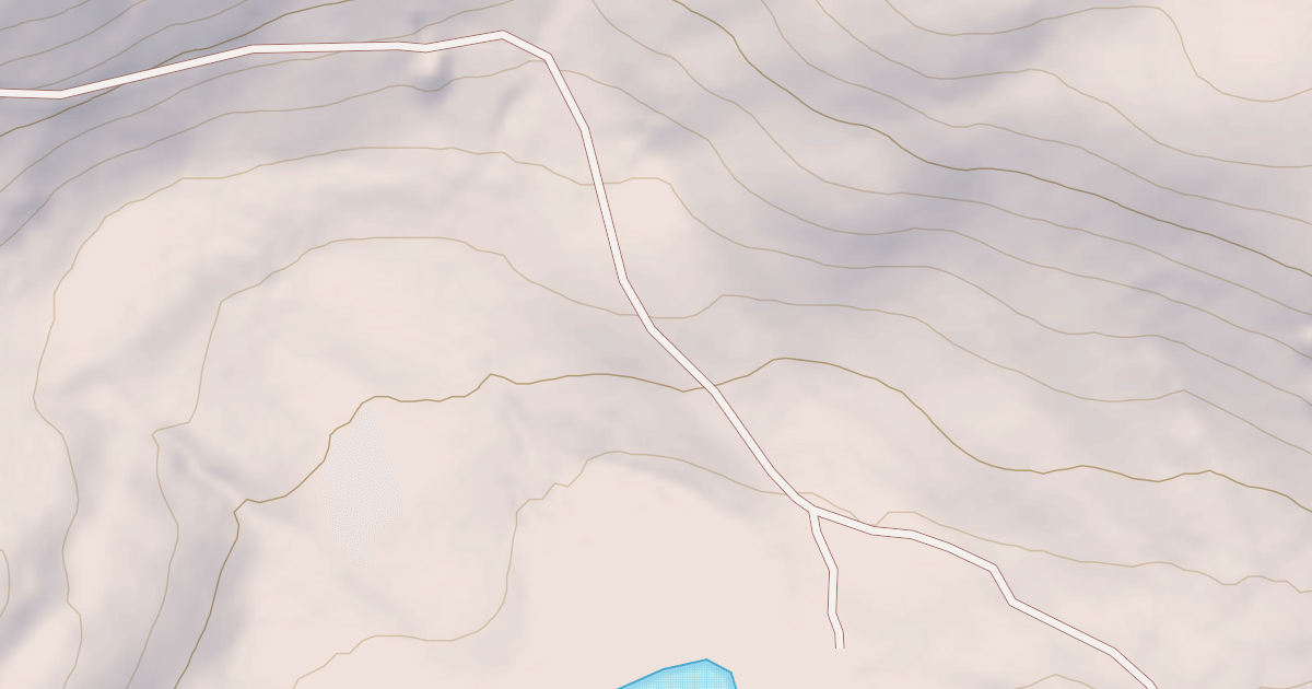 Map preview of SHOWERS LAKE
