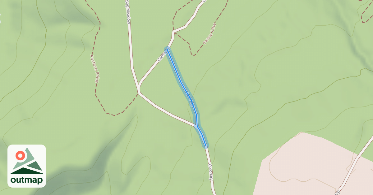 Map of Coronary