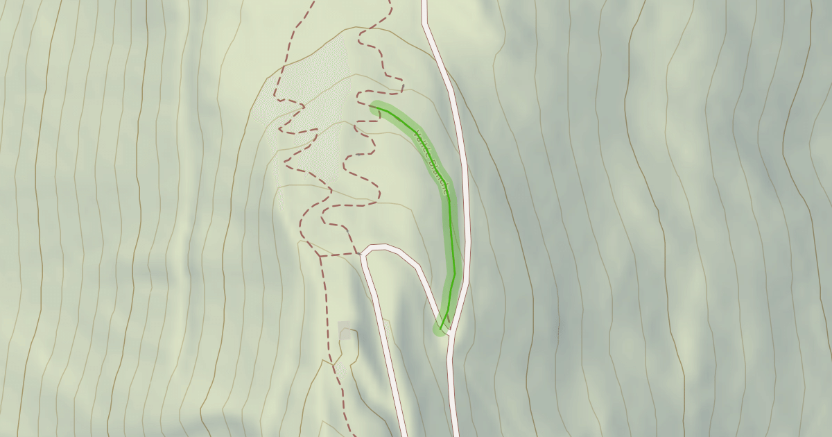 Map preview of Vallée Blanche