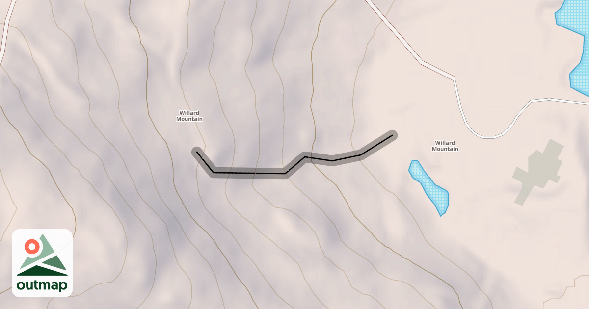Map of Shady Lane
