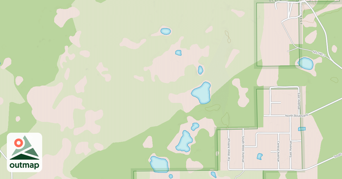 Map of USFS Motor Vehicle Use Map Roads {37E2D572-A415-44E5-90D2-42B62BE0A4D5}