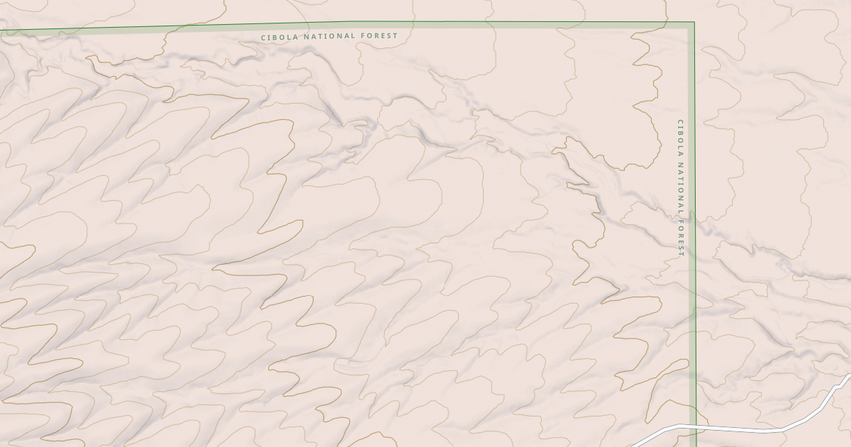 Map preview of USFS Motor Vehicle Use Map Roads {4FF65F1B-B677-458F-810D-89A51281479C}