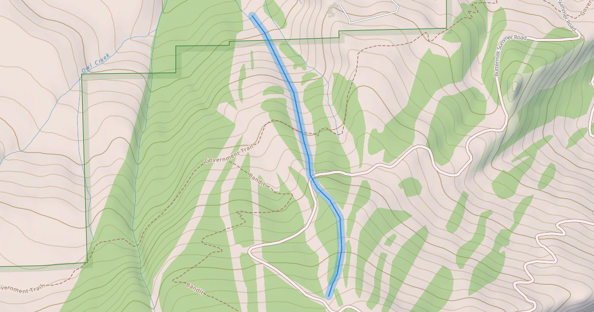 Map preview of Camp Bird