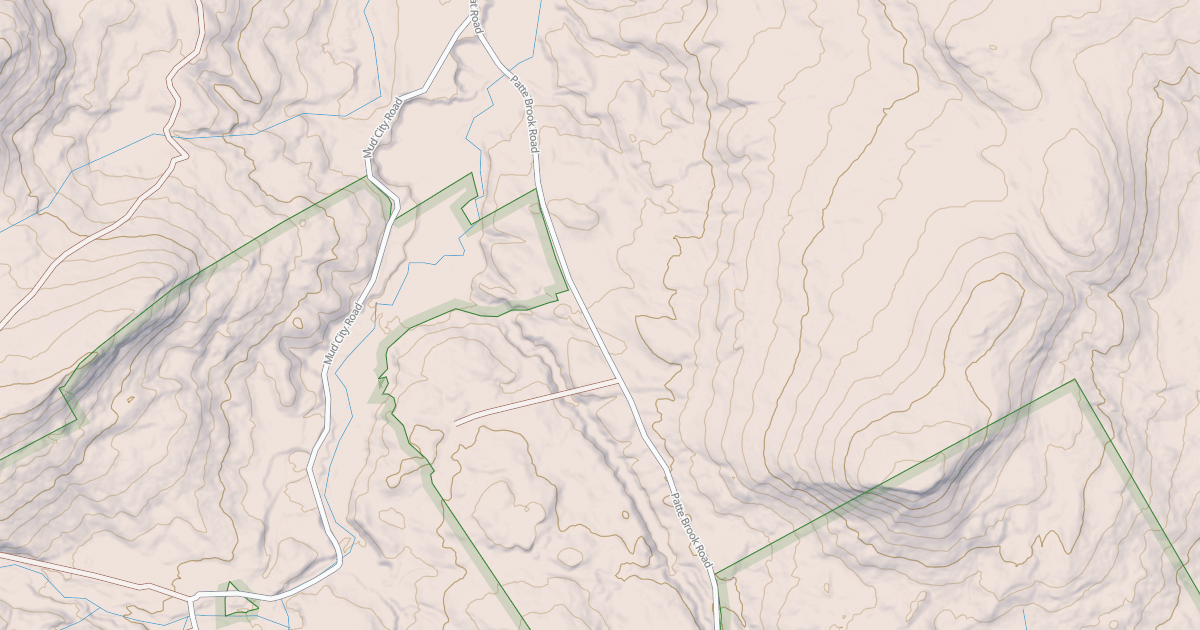 Map preview of Patte Brook Snomo