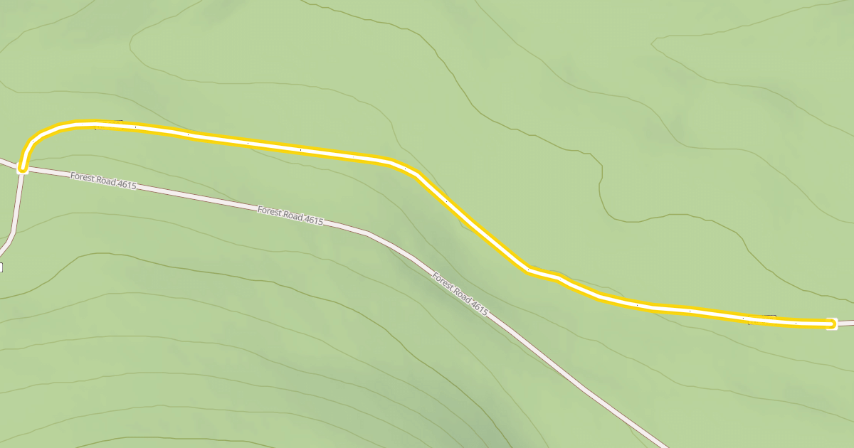 Map preview of Forest Road 4615-090