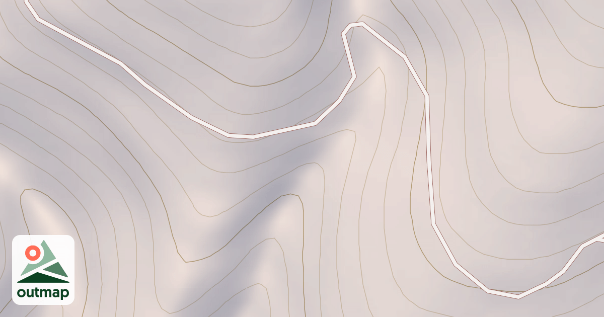 Map of CHIEFS