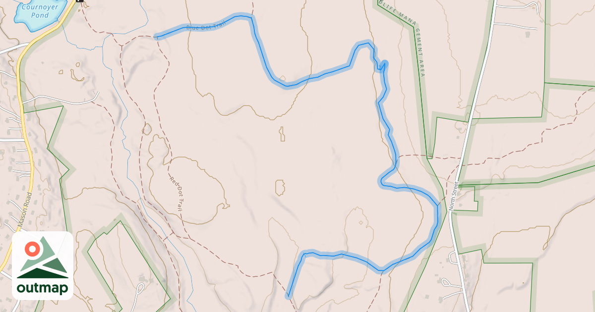 Map of Blue Dot Trail (Bob Elms)