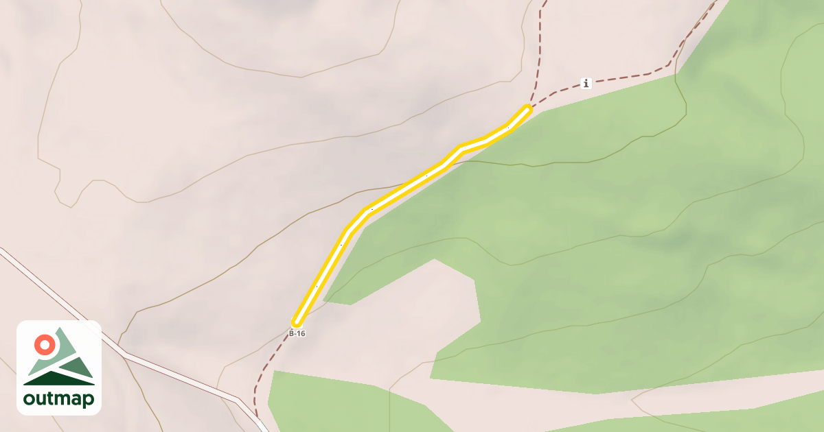 Map of Lynch