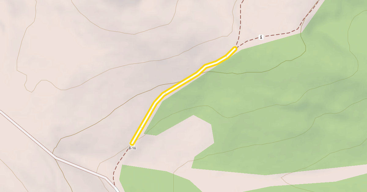 Map preview of Lynch