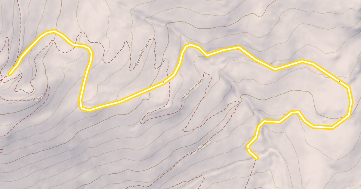 Map preview of Nexus
