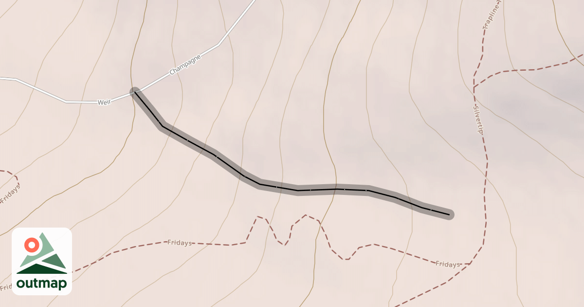 Map of White Friday