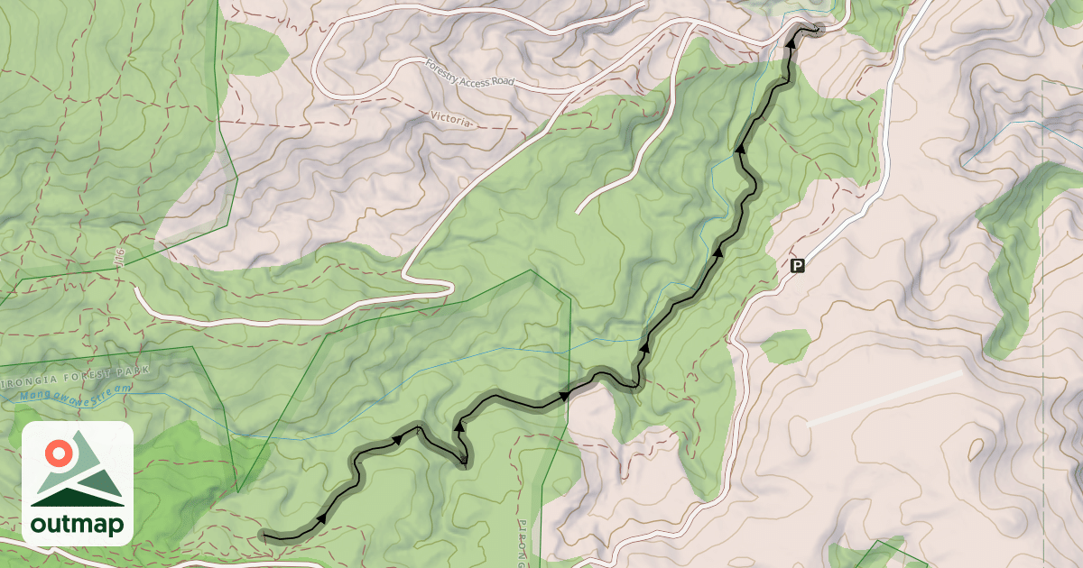 Map of Trick Or Treat