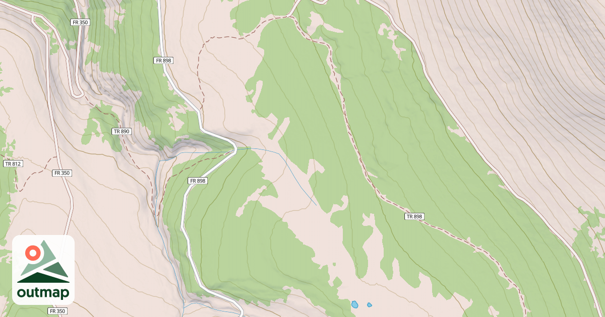Map of Shady