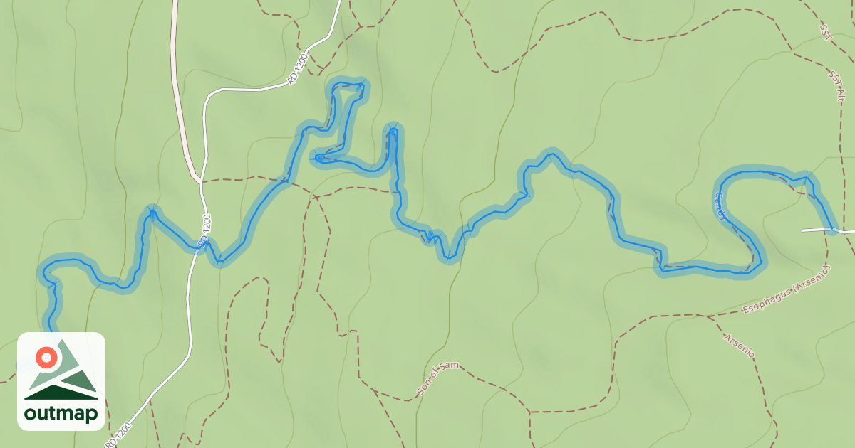 Map of Candy
