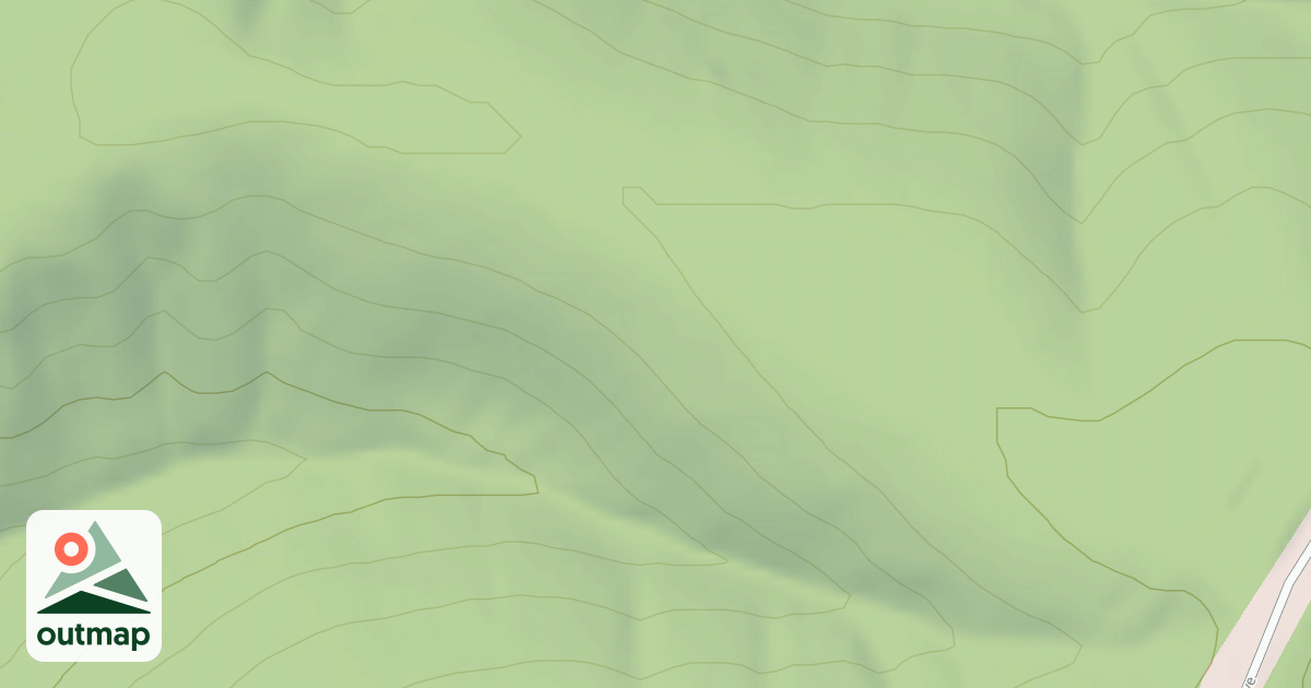 Map of TALL TREE