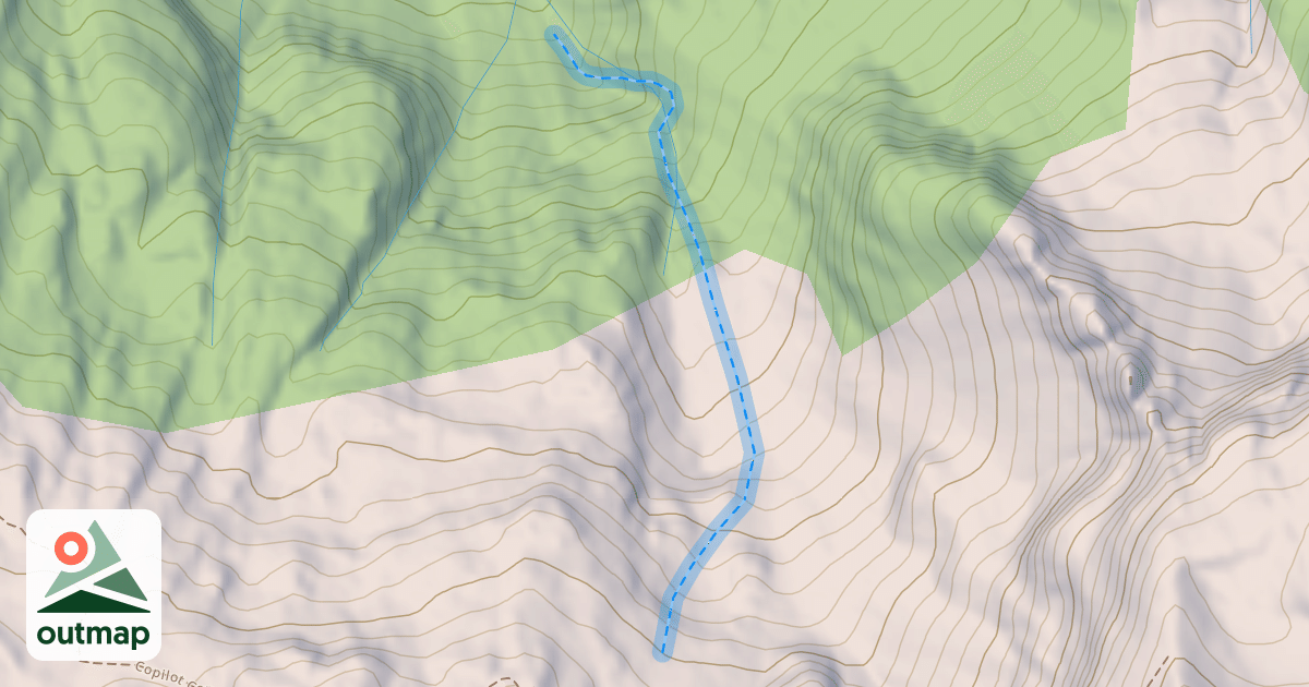 Map of Great Gully