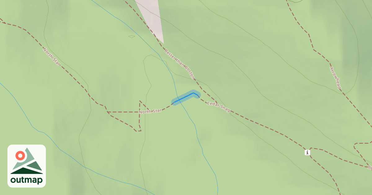 Map of Cedar Snag