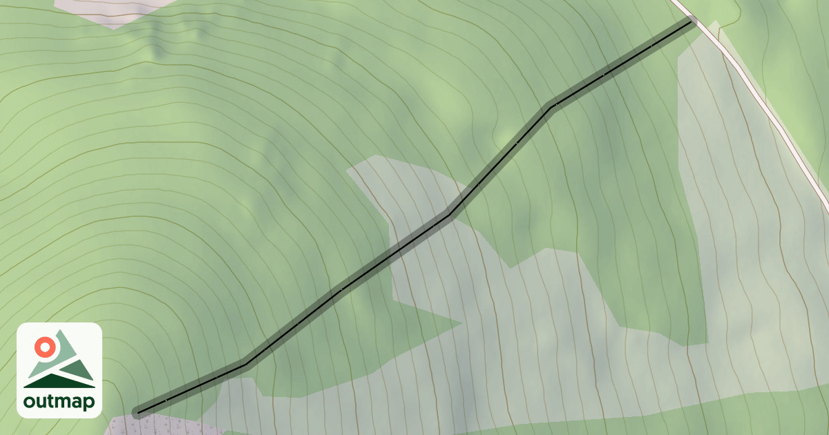 Map of Captain Jack's Trees