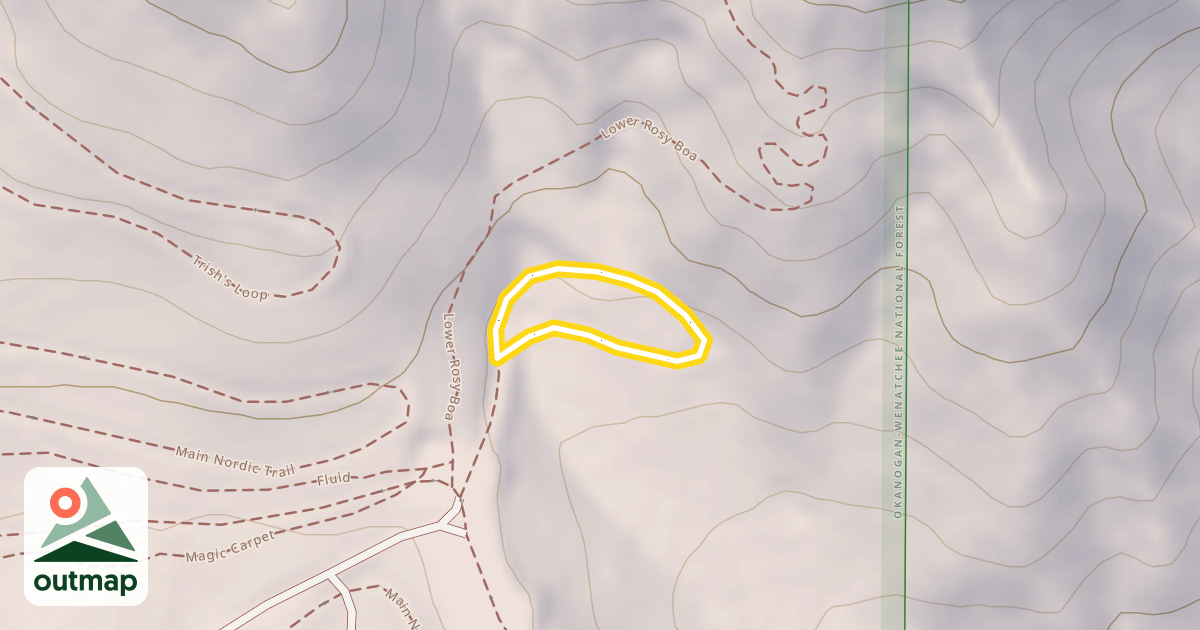 Map of Lasso Loop