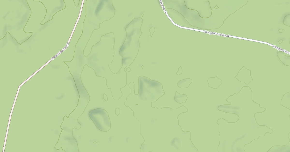 Map preview of USFS National Forest System Roads {541A4858-1DA7-43F7-BCD2-A88993664057}
