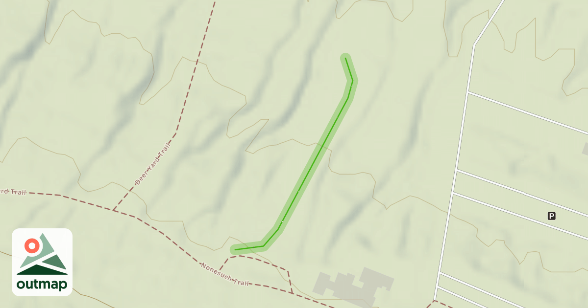 Map of Bunny Slope