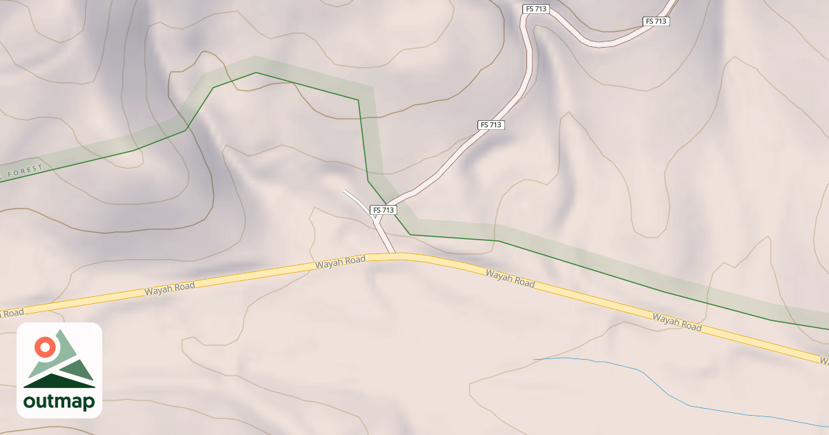 Map of SHINGLETREE BRANCH