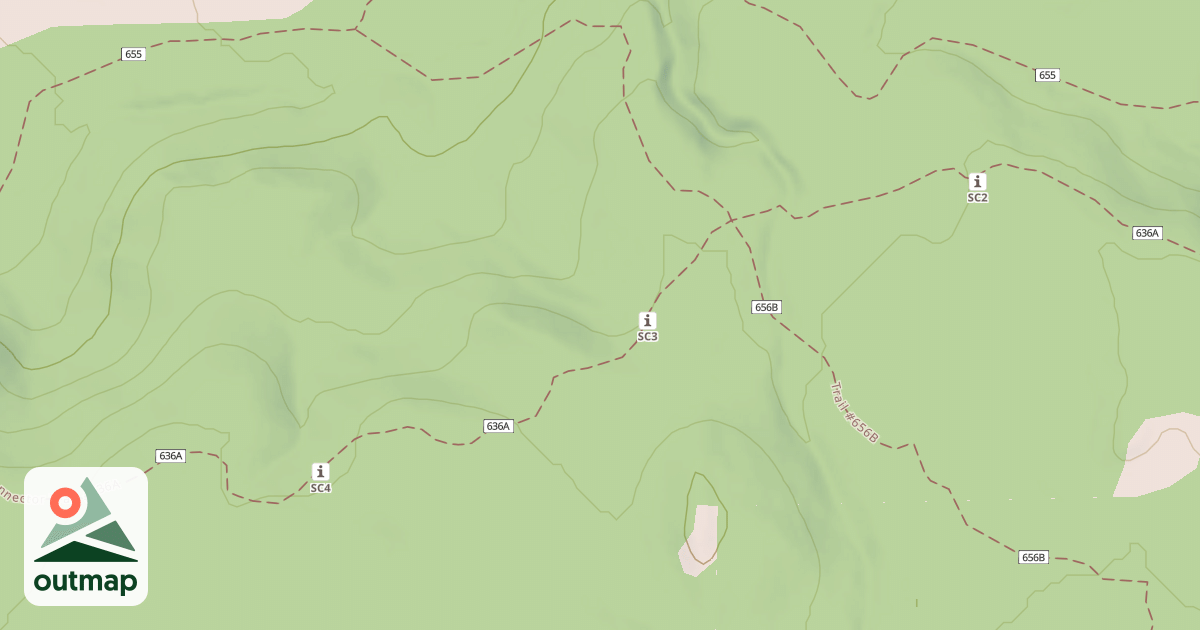 Map of USFS National Forest System Roads {333AA75F-10D7-4629-B18A-F6AEB3ADB389}