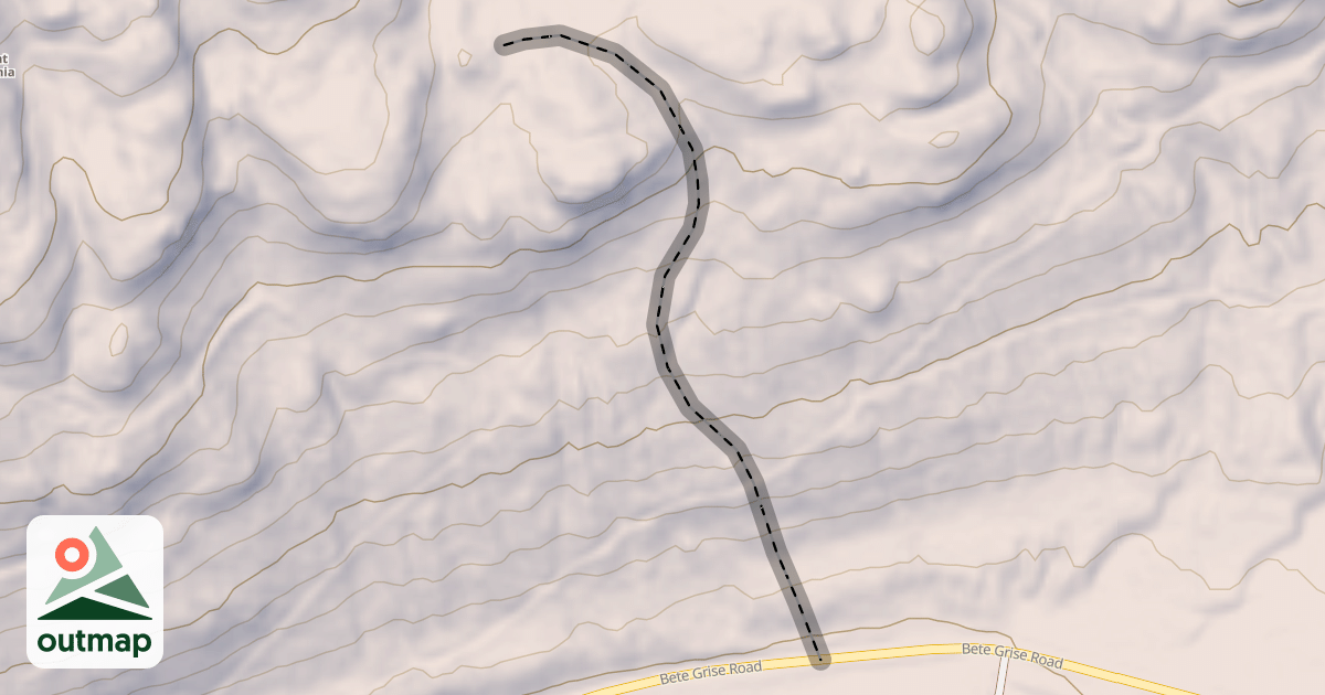 Map of Asteroid
