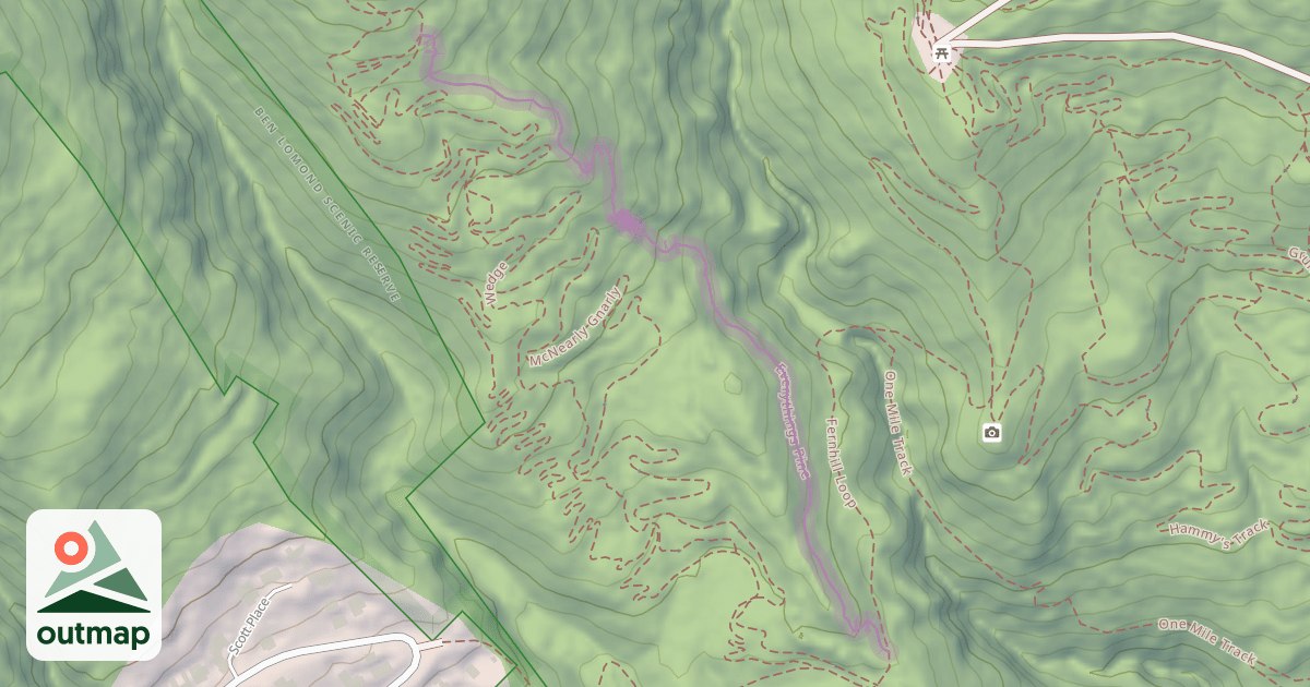 Map of Everythings Pine