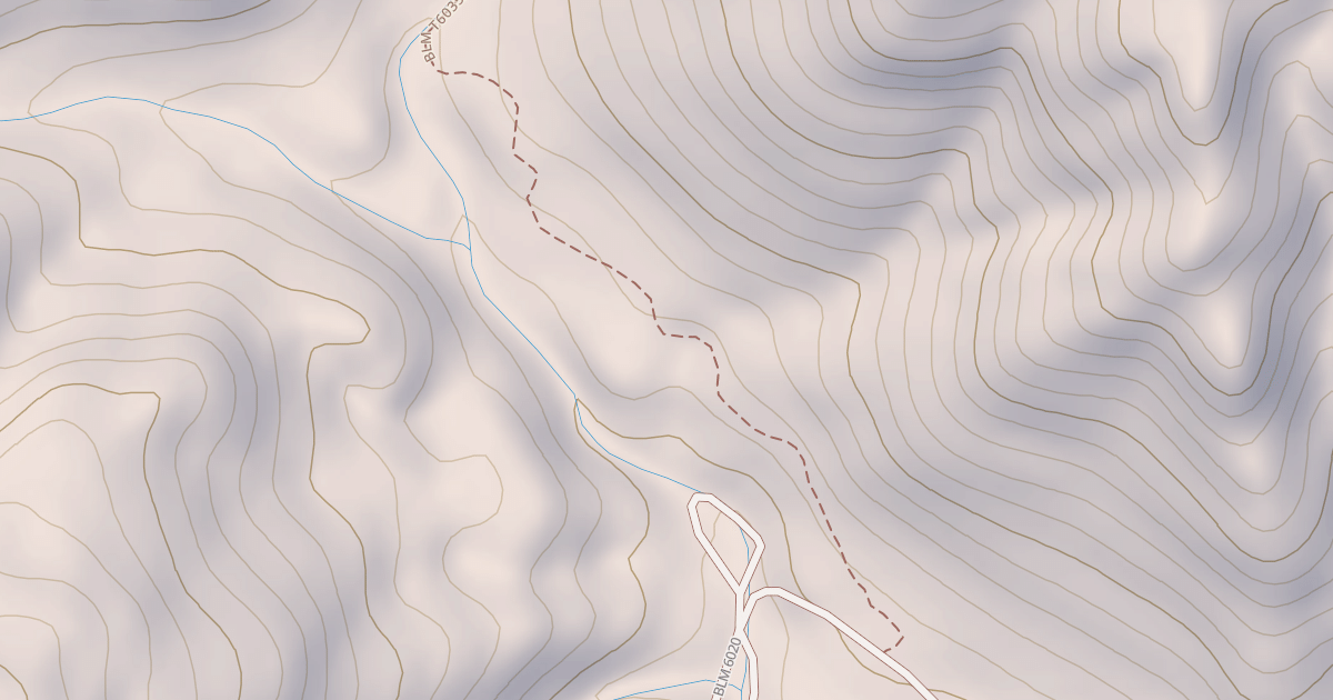Map preview of BLM National GTLF Public Motorized Trails 2208d2ea-3e25-4868-86af-758a9023550b