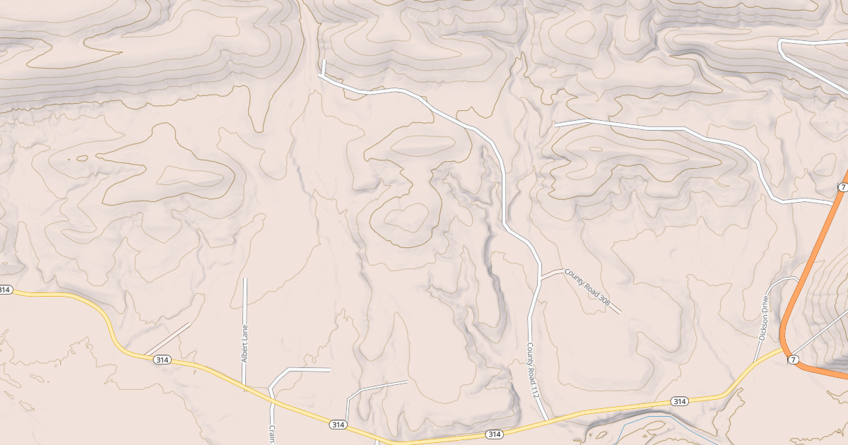 Map preview of TYLER BRANCH