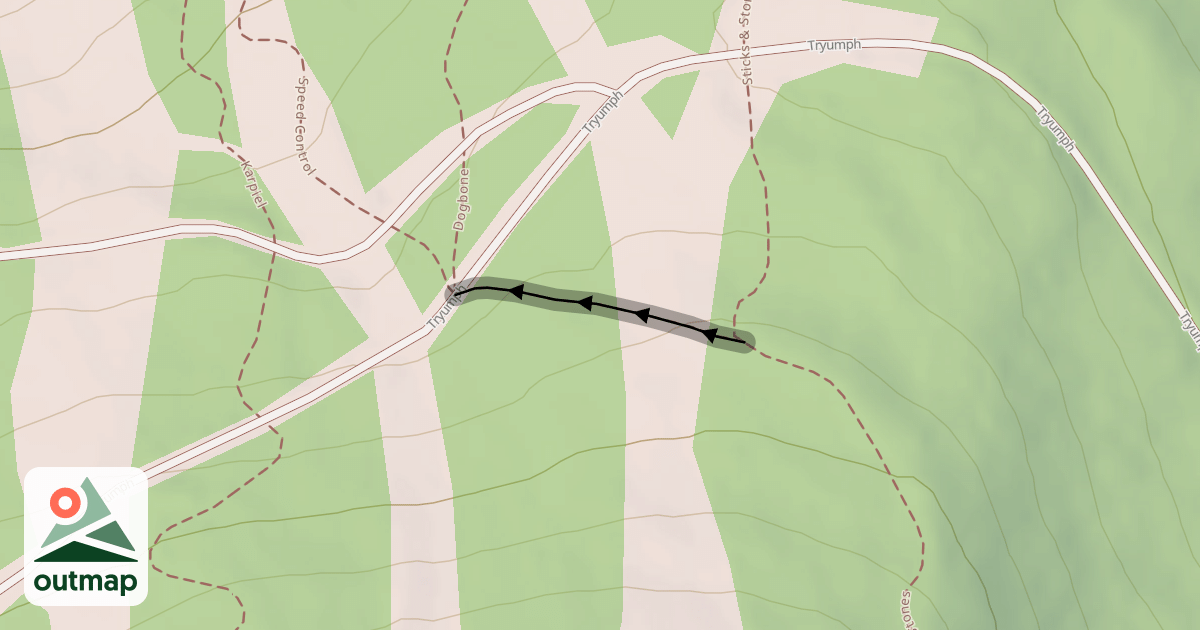 Map of Twigs & Berries