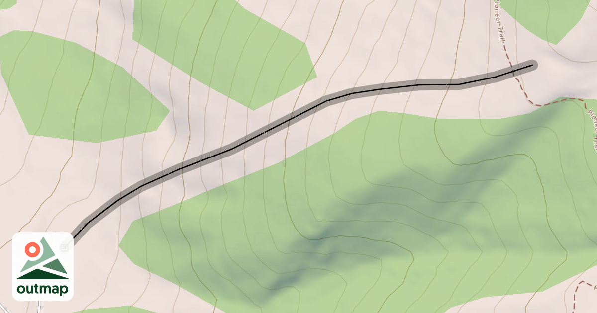 Map of Vortex