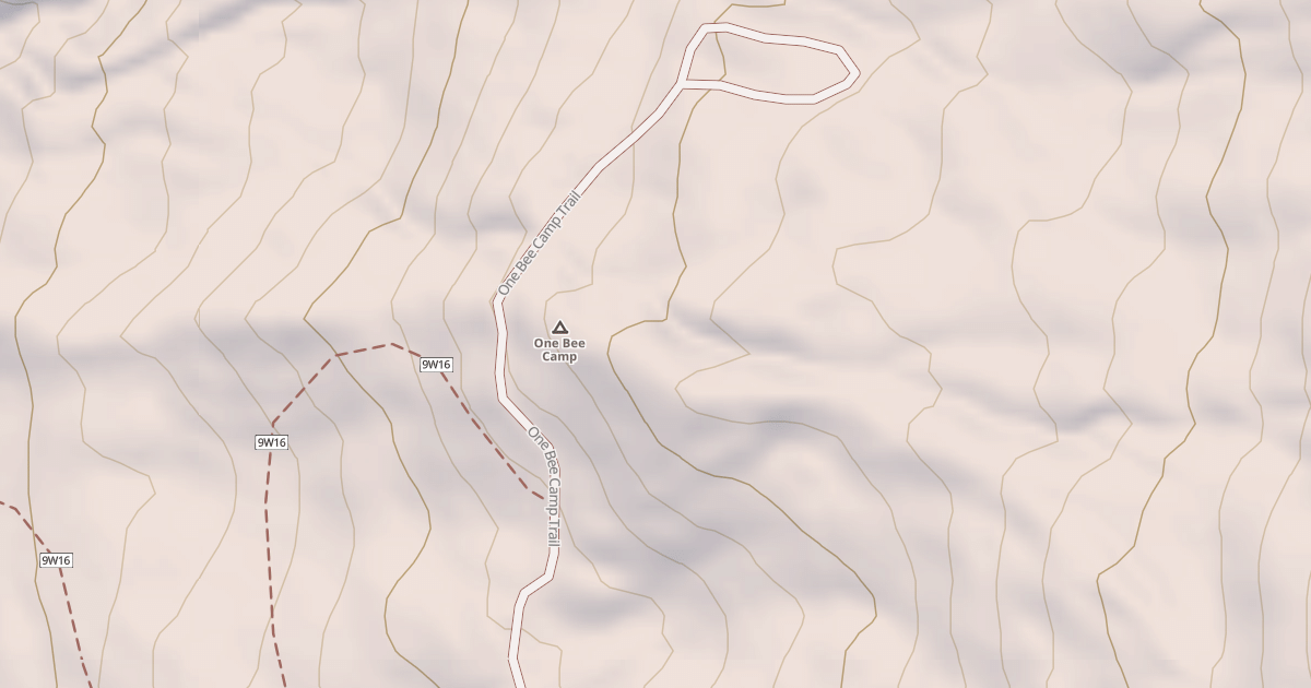 Map preview of ONE BEE CAMP