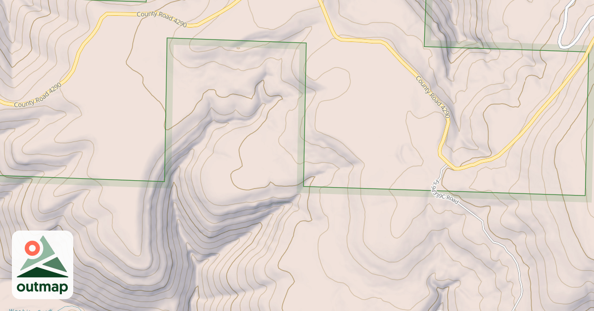 Map of USFS National Forest System Roads {510DBD0A-E9C8-46F5-8827-8CB60A6D85C6}