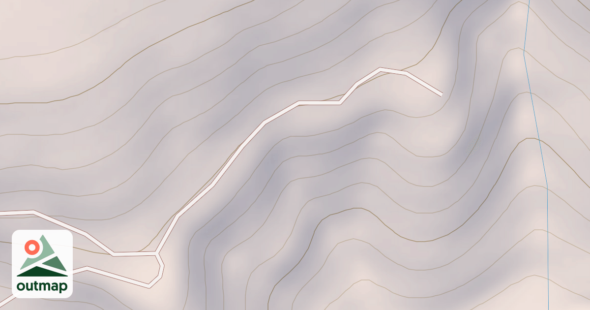 Map of ONION SKIN