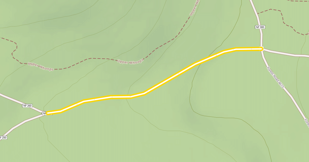 Map preview of Forest Road 4615-250