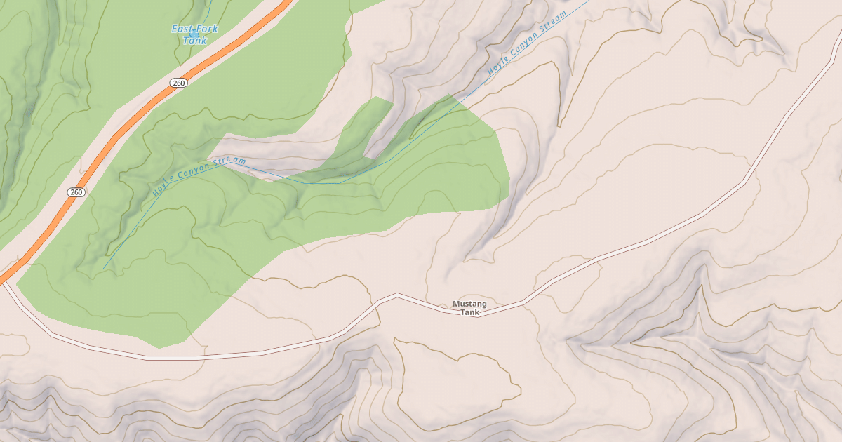 Map preview of USFS National Forest System Roads {0FF39894-D423-4583-8E02-02CD21DCB967}