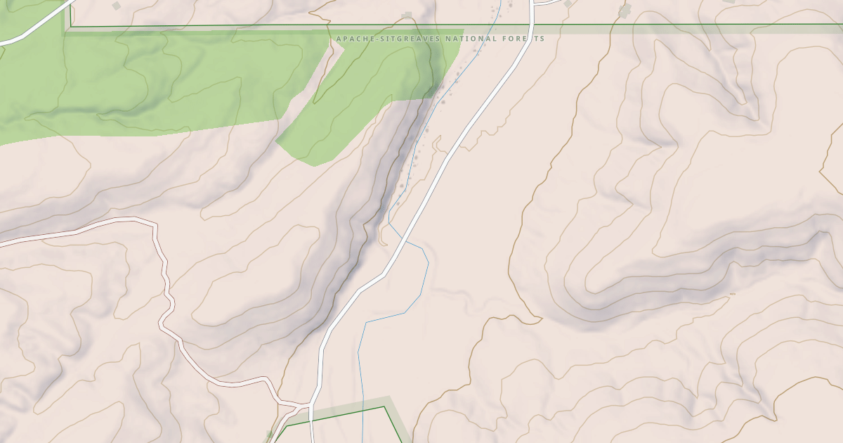 Map preview of USFS National Forest System Roads {31E3FCD4-C8EA-40BD-9F87-240A527F6FC9}