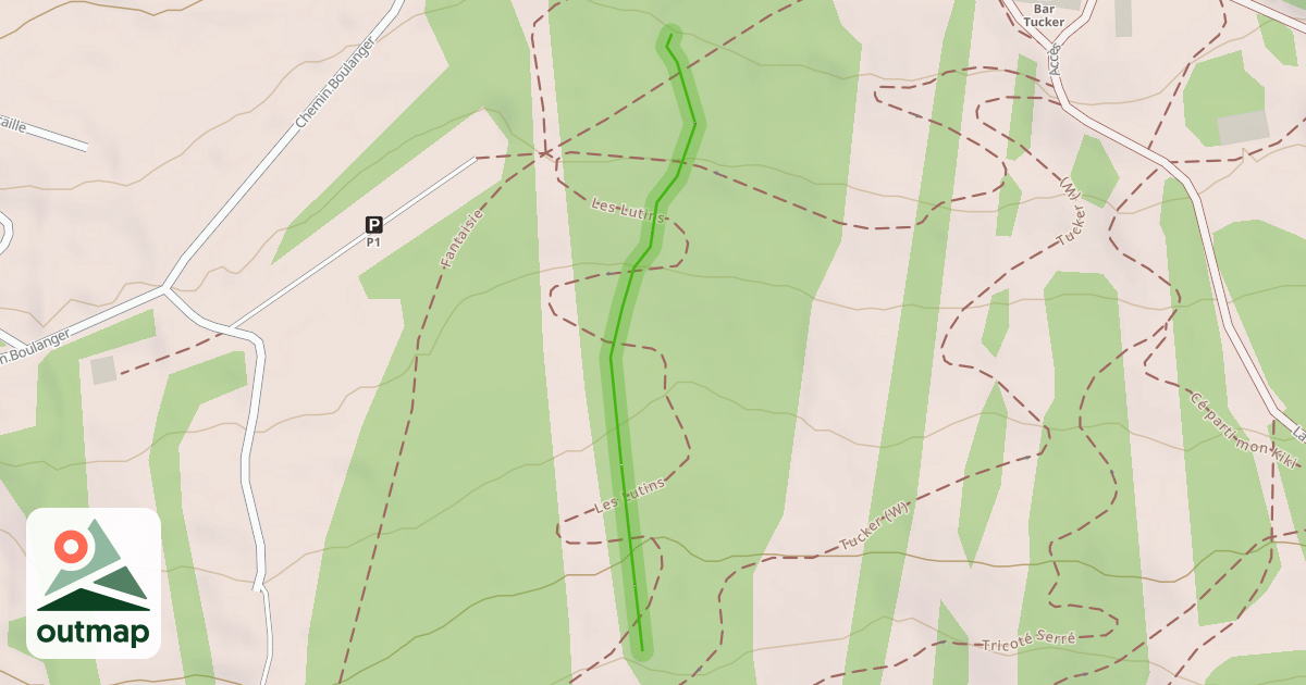 Map of 9A Forêt des merveilles