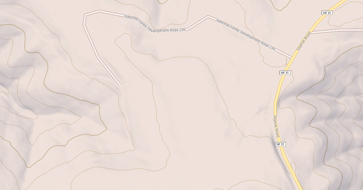 Map preview of USFS Motor Vehicle Use Map Roads {40FE7E55-C32A-40DA-88F6-FDB04FEEFF8F}