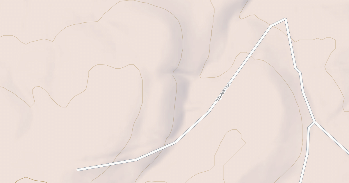 Map preview of USFS Motor Vehicle Use Map Roads {FDEEED0A-8038-4FFC-BB92-F01022A1AEBC}