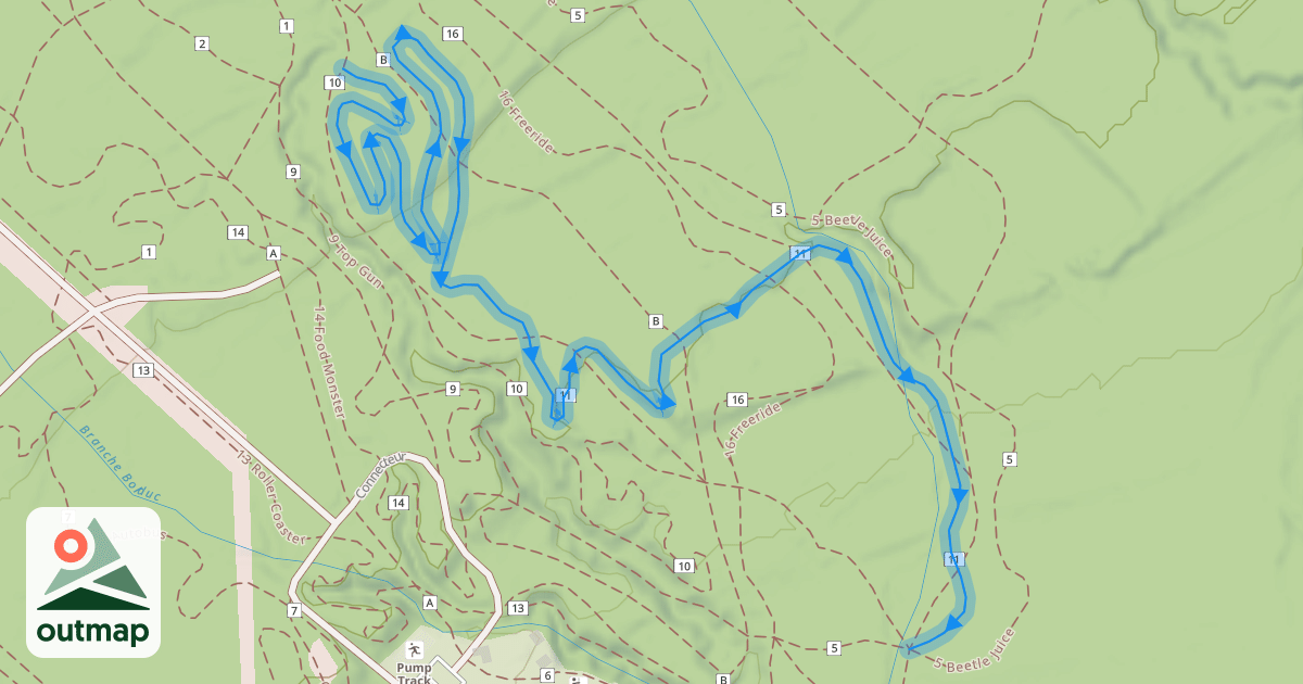 Map of 11 Pas Fine