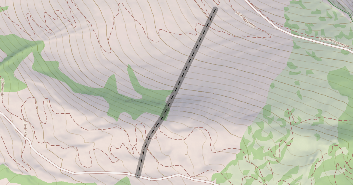 Map preview of Lightning Trees