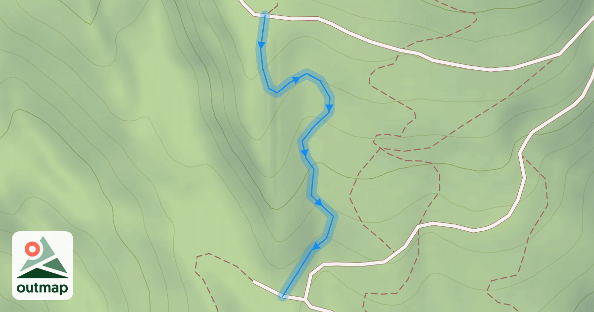 Map of Bonzai Downhill 2