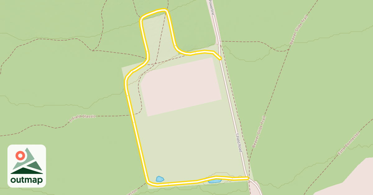 Map of T-Field Loop