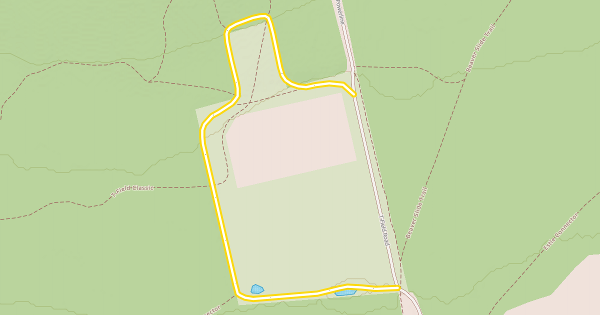 Map preview of T-Field Loop