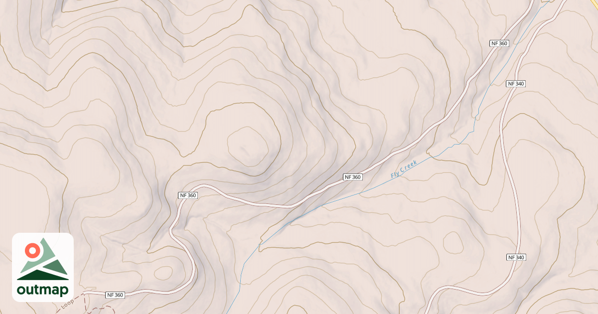 Map of S536A A FLY